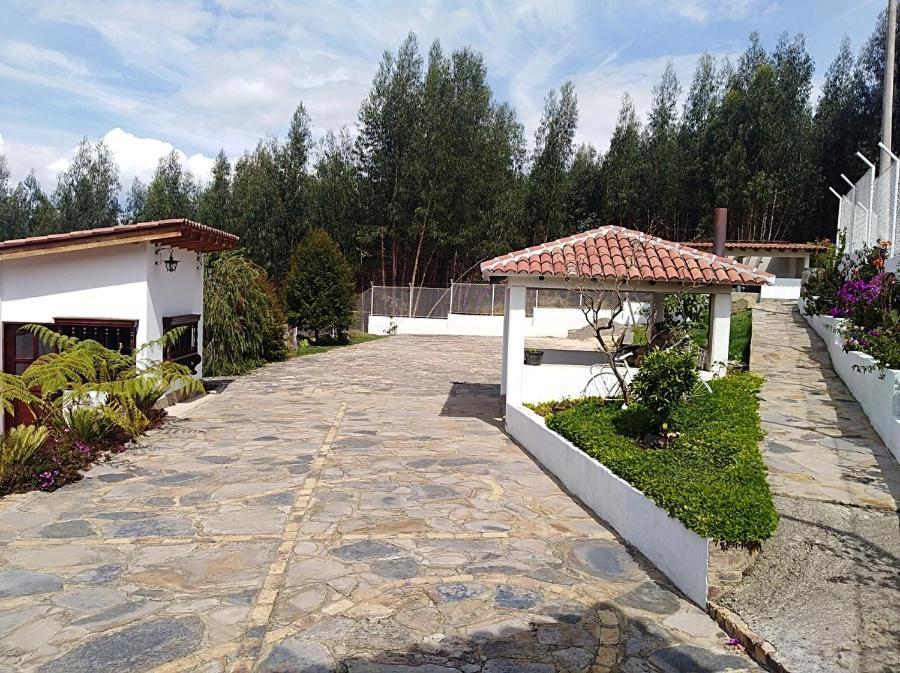 San Benito Hotel Тібасоса Екстер'єр фото